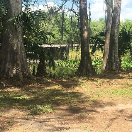 Big Cypress Villa Lake Panasoffkee Exterior photo